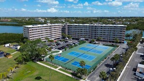 Sports court - Bayshore Yacht & Tennis 409 -Stunning Condo, Panoramic Views (Indian Shores)