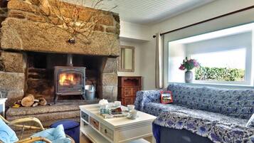 Télévision, cheminée, livres