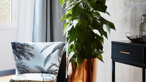 A modern room with a large window, a potted plant, a chair, a desk, and a floor lamp.