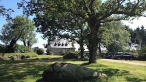 Una casa amb un arbre gran al davant, una entrada i un cotxe aparcat a prop.