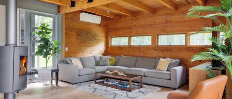 TV, fireplace, stereo, offices