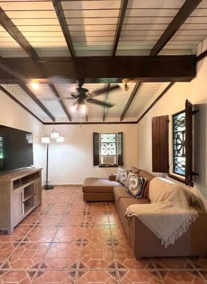 Smart TV, video games, computer monitors