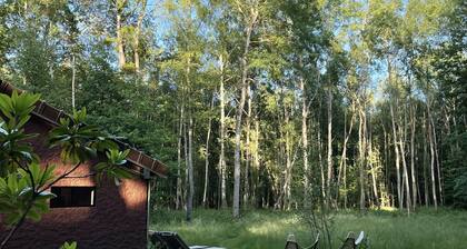 CASAMAAS, your country house (40 min from Paris)