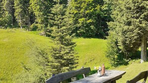 Un coin pique-nique aménagé avec un barbecue, des bancs en bois et une table, situé dans un espace extérieur verdoyant, avec des arbres en arrière-plan.