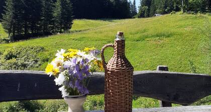 Holzhütte -Brunarica na Goreljeku, Bohinj