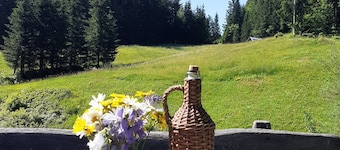 Holzhuette- Bohinj, Pokljuka