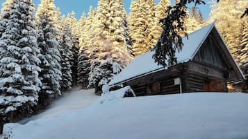 Extérieur