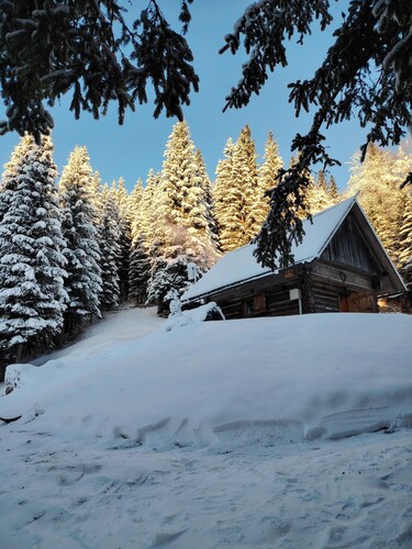 Cottage - Bohinj, Pokljuka