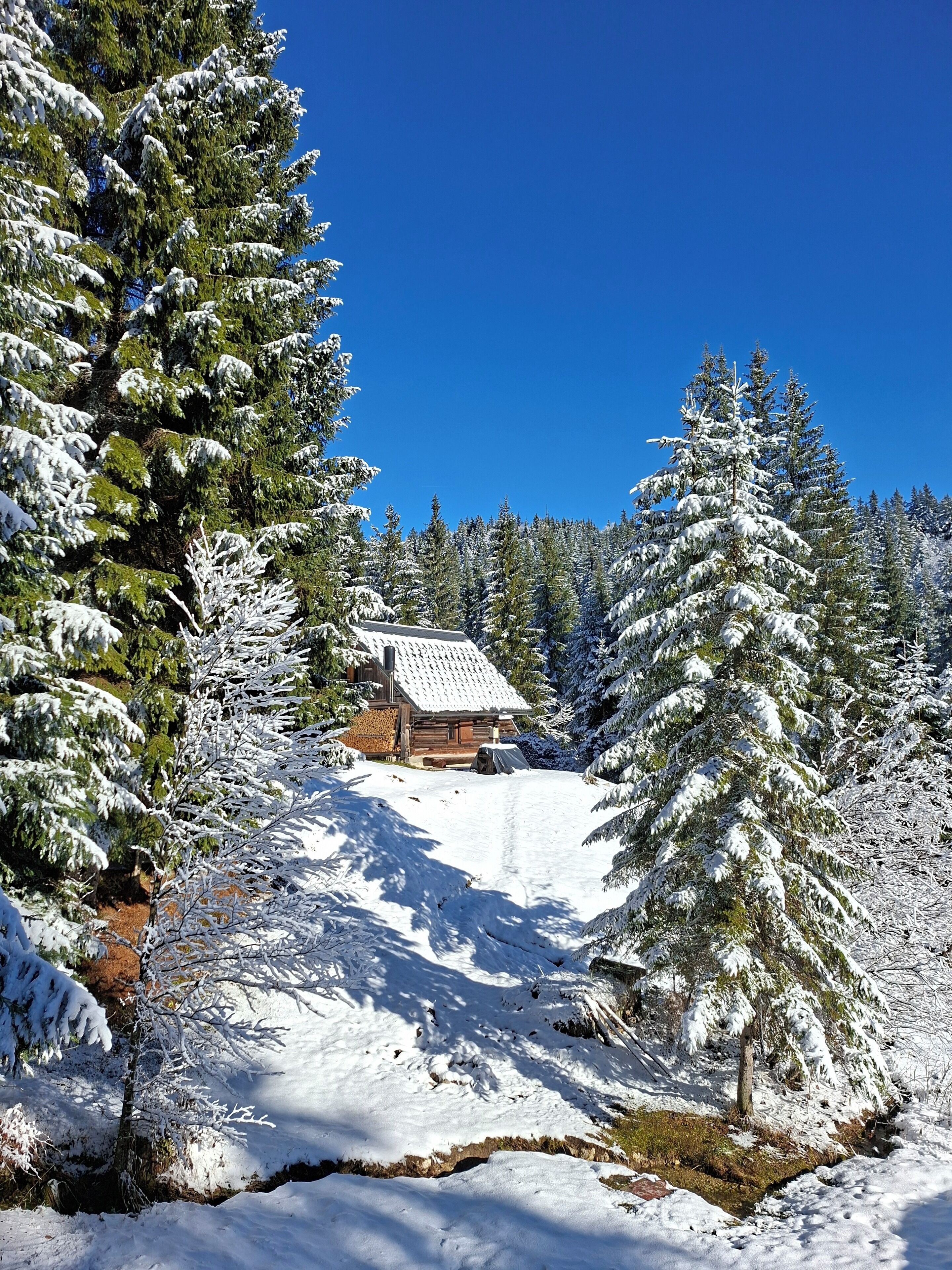 Una cabaña rodeada de árboles cubiertos de nieve, con un cielo azul despejado arriba.