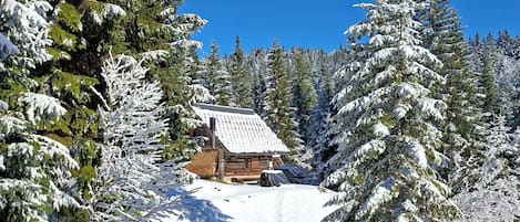 Eine Hütte, umgeben von schneebedeckten Bäumen, mit blauem Himmel darüber.