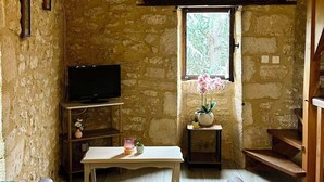 A rustic room with exposed stone walls, a wooden ceiling, a sofa, a TV, a window with a view, and a small table with a vase. - "Le Pigeonnier", in the valley of the 5 castles in Périgord Noir (vezac)