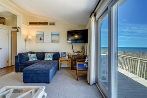 TV, fireplace, DVD player, books