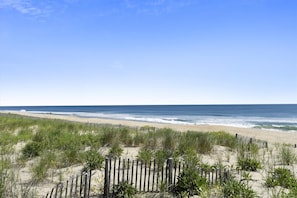 On the beach