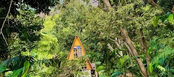 Cottage by the Lake- wifi/breakfast/washing machine