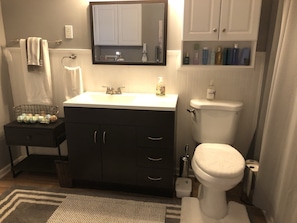Downstairs Bathroom (Bath/Shower) - Denise's Cottage (Asheville)