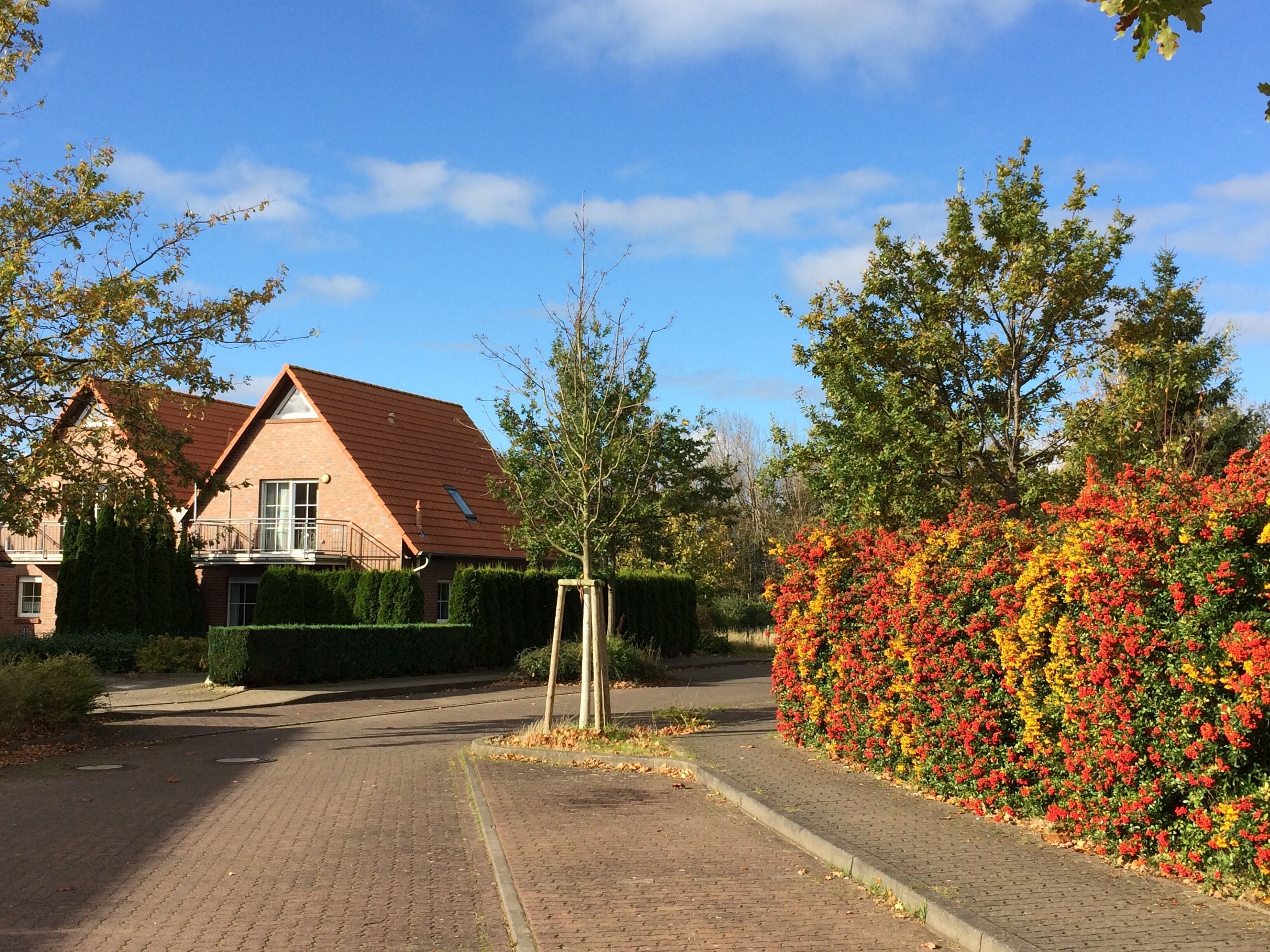 Een woonstraat met een huis met een rood dak en een bakstenen gevel.