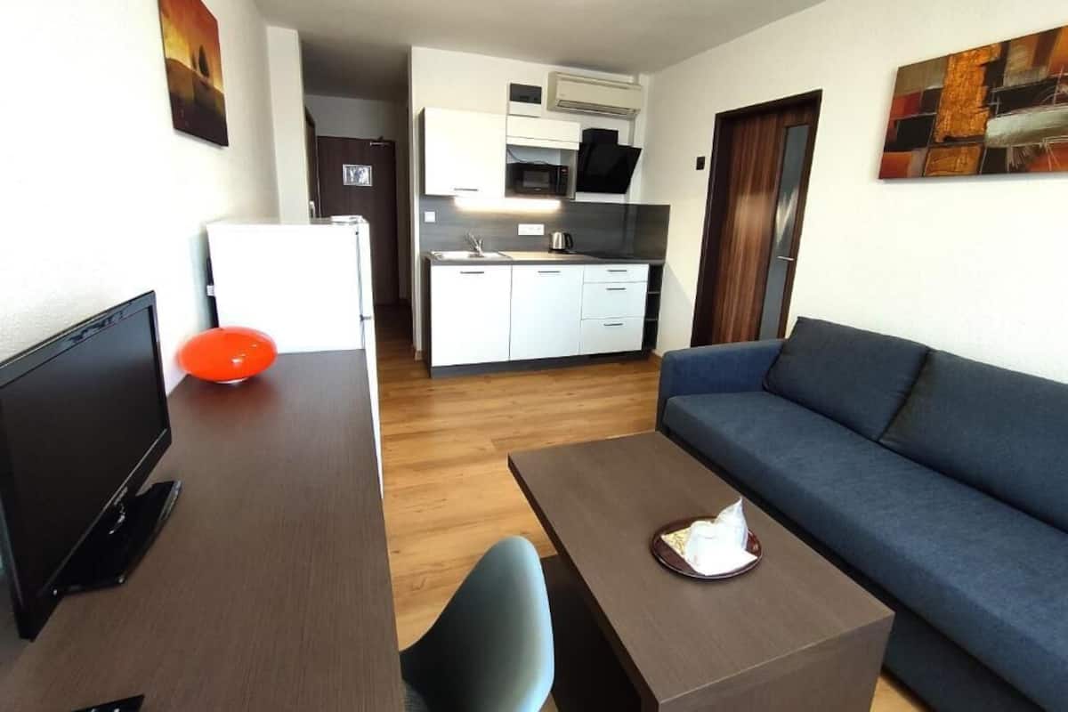 A compact living space with a kitchenette, a sofa, a TV, and a dining area.