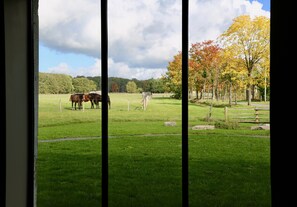 Interior - CASAMAAS, your country house (40 min from Paris) (Poigny-la-Forêt)