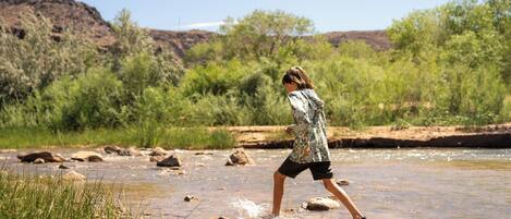A person wading through a shallow river with rocks and greenery in the background.