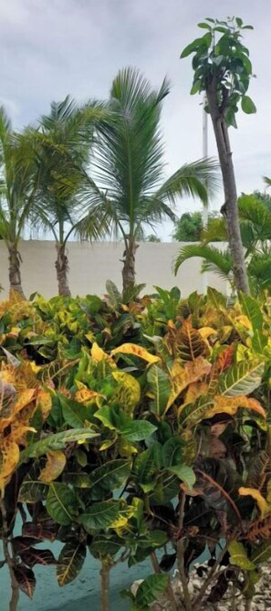 Nicht klassifiziertes Bild, 3 von 14, Schaltfläche