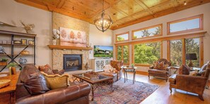 Smart TV, fireplace, video games, DVD player