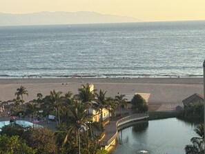 A beach with a pool, palm trees, and a bridge.