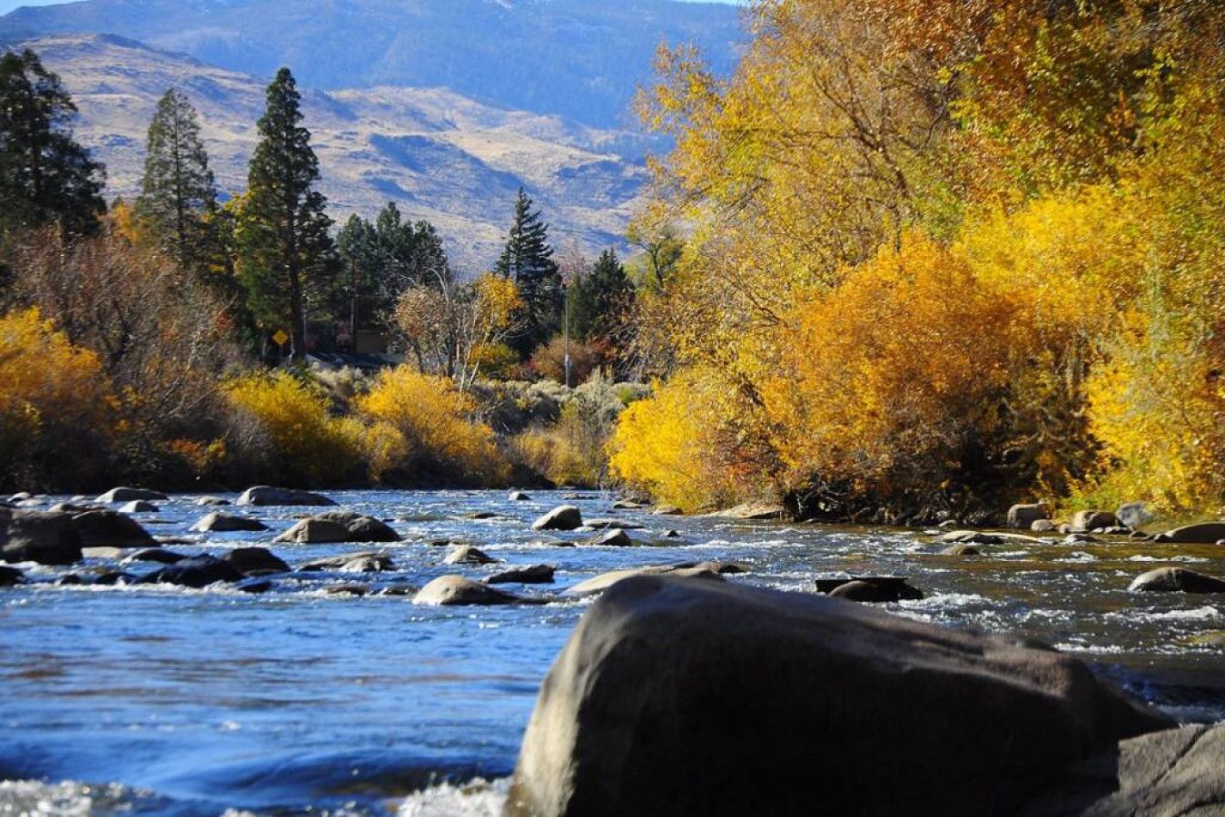 Une rivière parsemée de rochers, bordée d’arbres aux feuilles d’automne, avec des montagnes en arrière-plan.