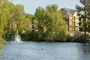 A residential area with a body of water, a fountain, and multi-story houses.