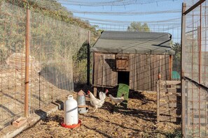 Property grounds - Room with private bathroom and living room in a rural house (Costean)