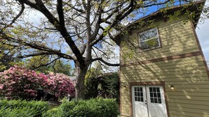 A house with a large tree in front, a small shed, and a pink flowering bush.