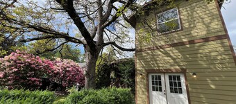 St. John’s/cathedral park getaway