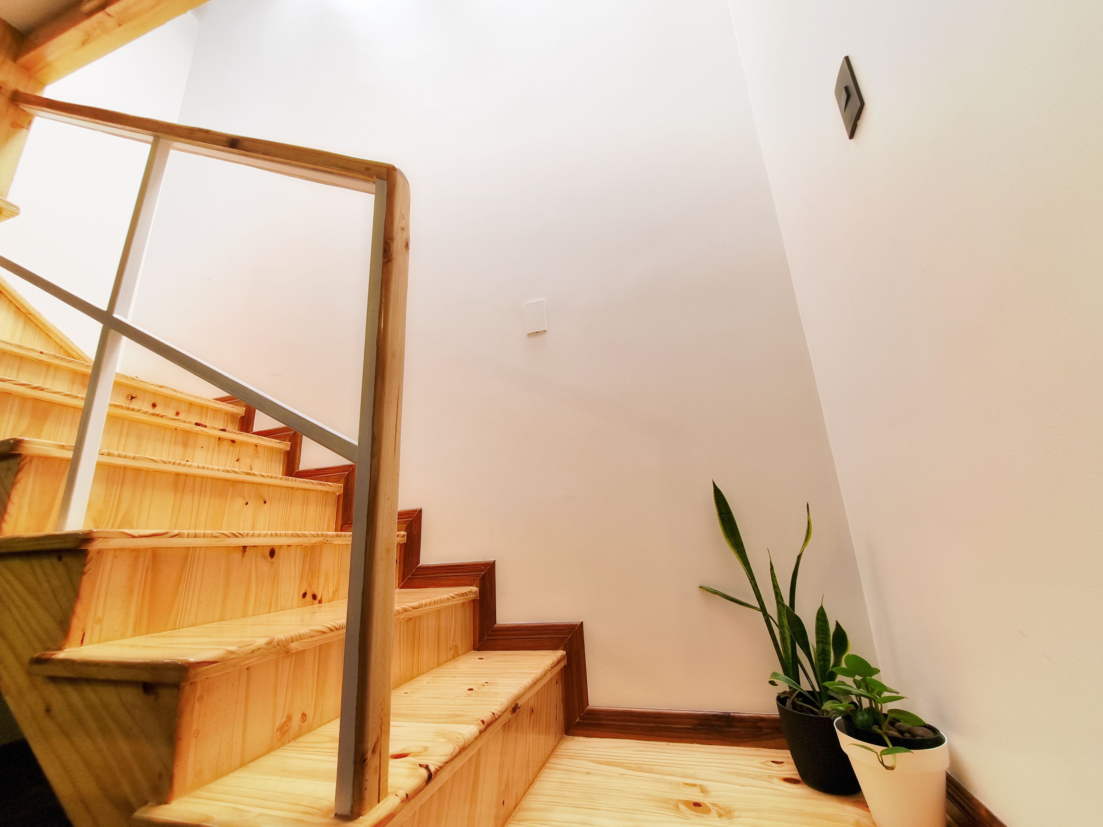 Un escalier en bois avec une rampe métallique, menant à un palier où se trouve un pot de fleurs.