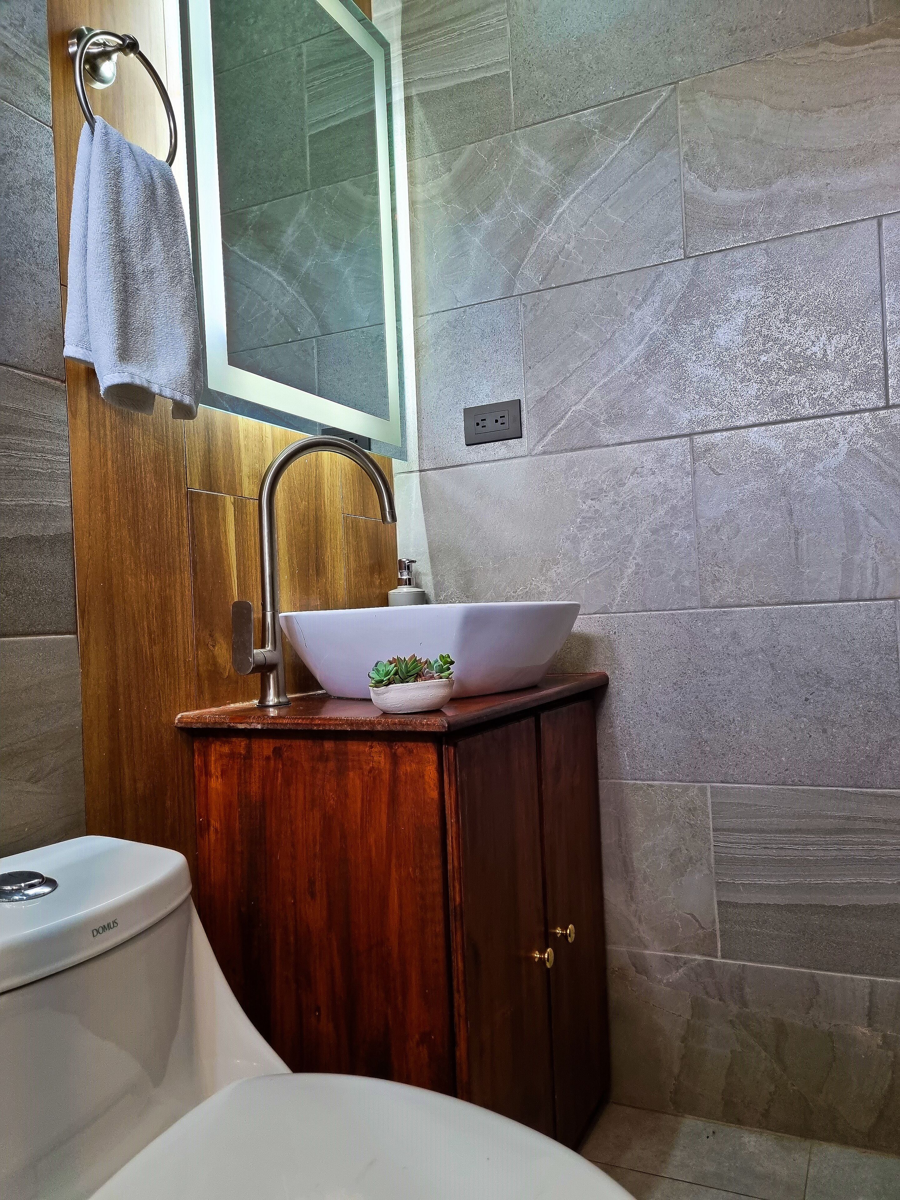 A bathroom with a wooden vanity, a white sink with a bowl, a small potted plant, and a toilet.