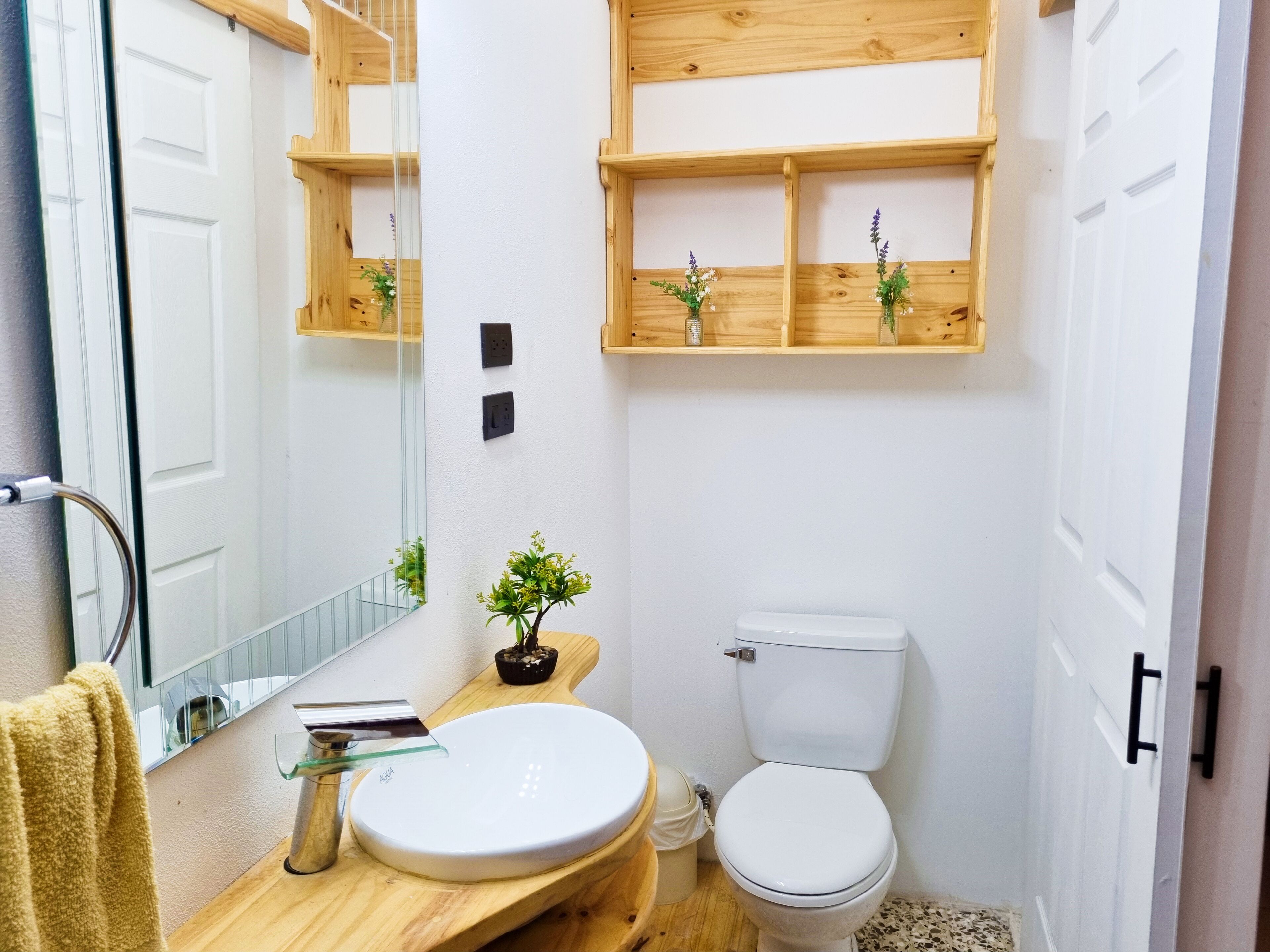 A bathroom with a white toilet, a wooden vanity with a glass sink, and a mirror above the sink. There are two small wooden shelves with plants on the wall.