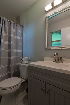 A bathroom with a toilet, a sink, and a shower curtain. - Quiet & Cozy in Georgetown, TX-Pets-Long Stays-Office (Georgetown)