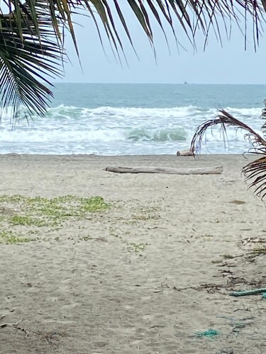 Fragus Domo - Cojimies