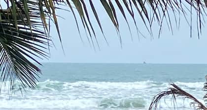 Fragus Domo - Cojimies