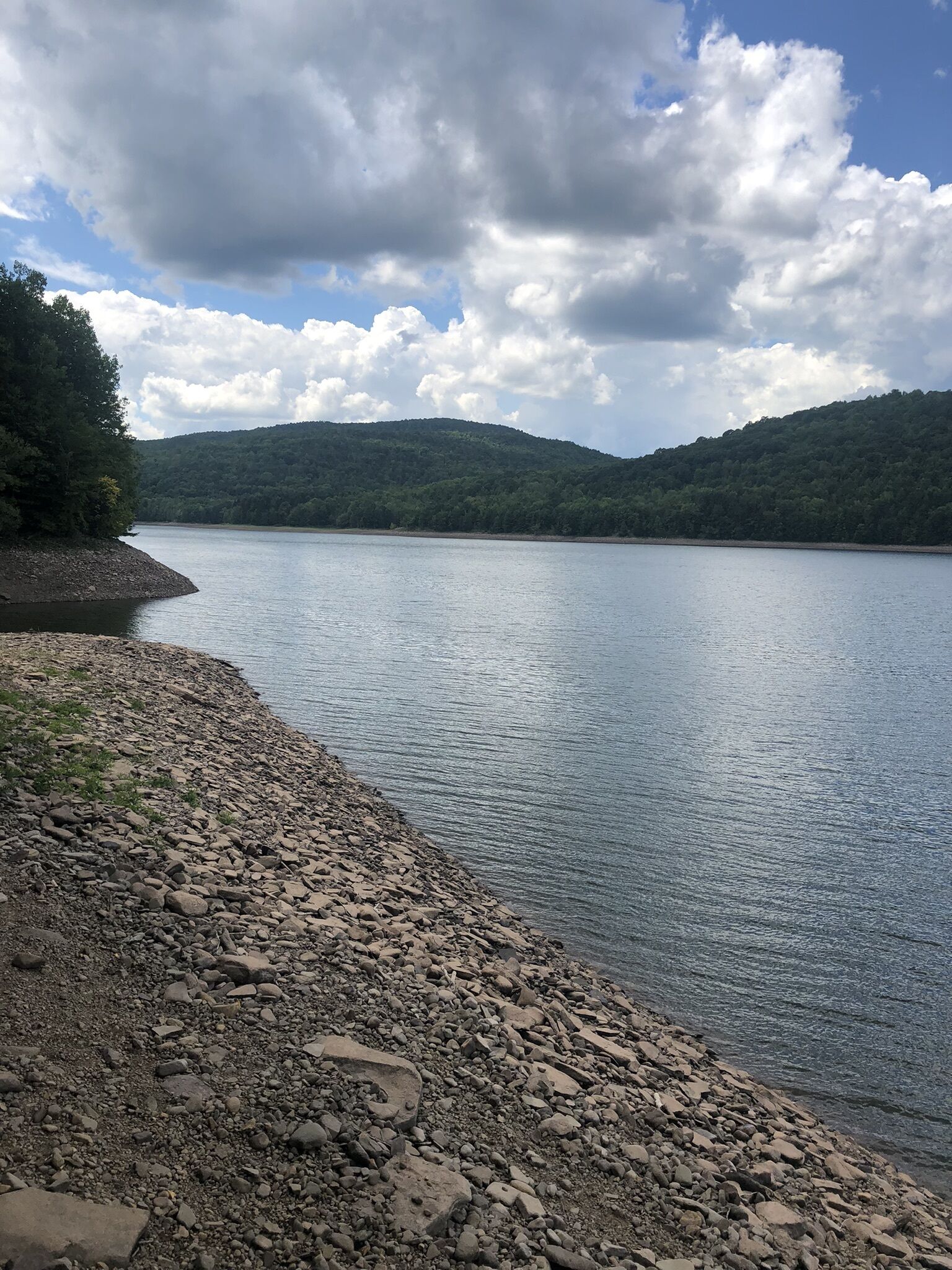 Pepacton Resevoir (Access by 1 min drive, half mile walk)