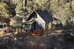 A cabin with a wooden deck, surrounded by trees. - Serene retreat is just steps to the National Forest (Big Bear)