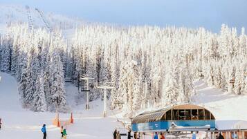 A ski resort with a covered building, ski lifts, and snow-covered trees.