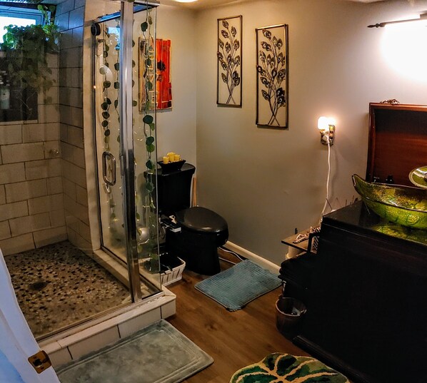 Shower, bidet, towels, soap