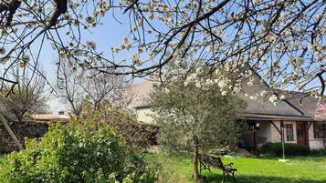 A garden with a bench, a tree with white blossoms, and a house with a tiled roof.