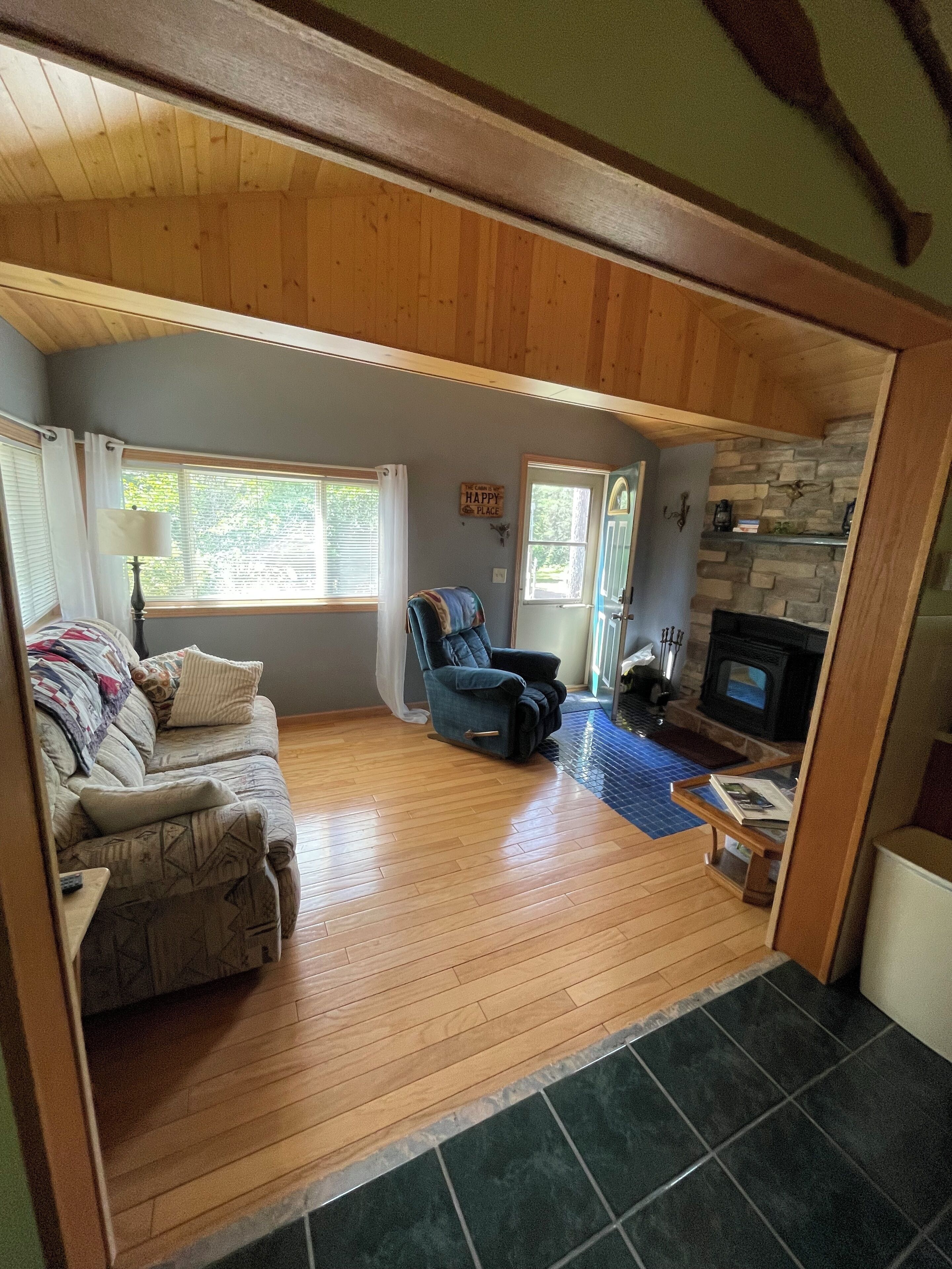 Televisión, chimenea, reproductor de DVD y libros 