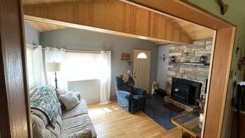 TV, fireplace, DVD player, books