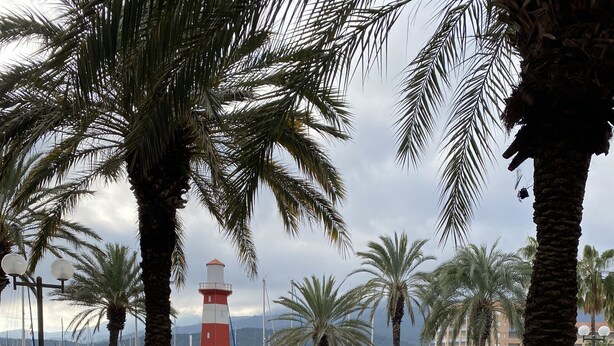 A marina with boats, a red and white lighthouse, and palm trees.