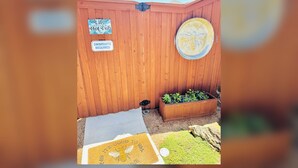 Property grounds - The Good Life - Your Private Retreat with Hot Tub (Aledo)