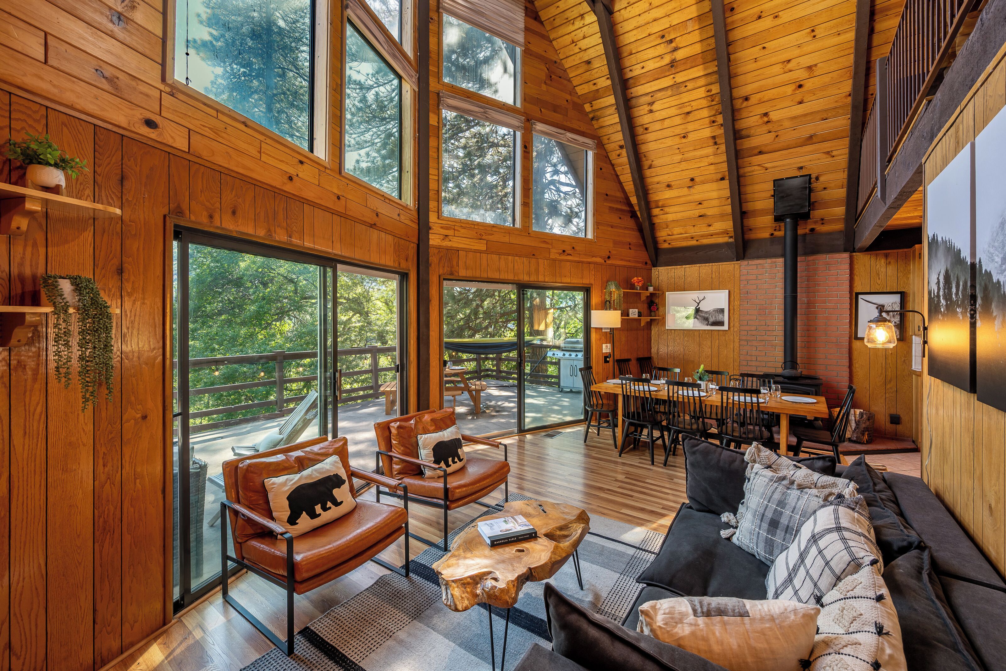 Smart TV, fireplace, video games, DVD player