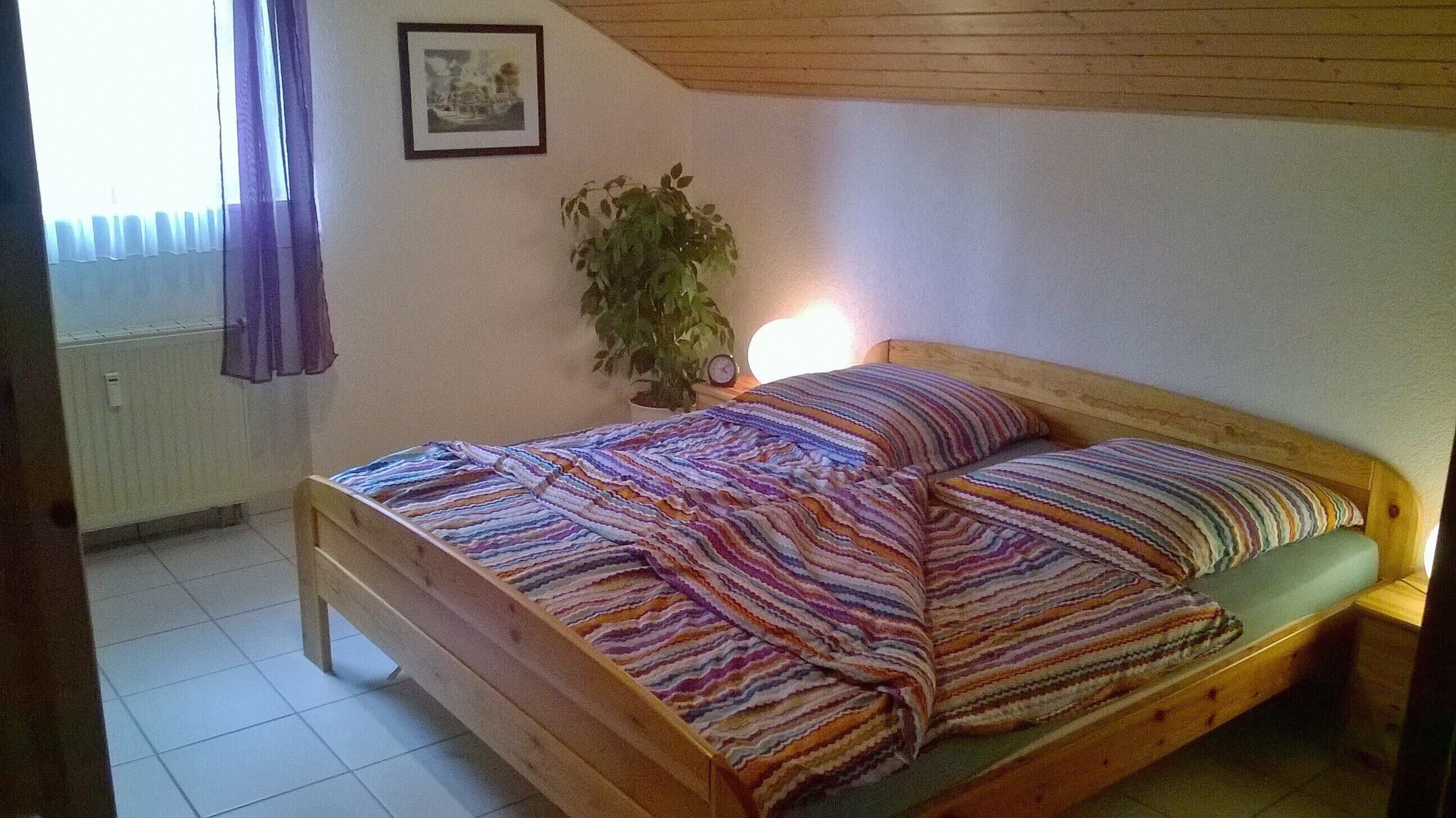 A single bed with a colorful striped bedspread, a bedside plant, and a framed picture on the wall.