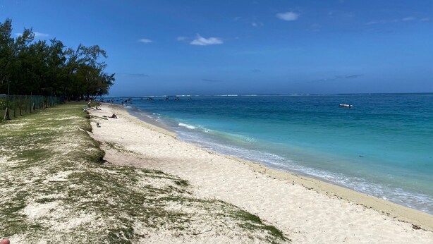 A beach with clear turquoise water, a sandy shore, and a line of trees on the left. - Beautiful House With Private Pool in Mauritius (Albion)