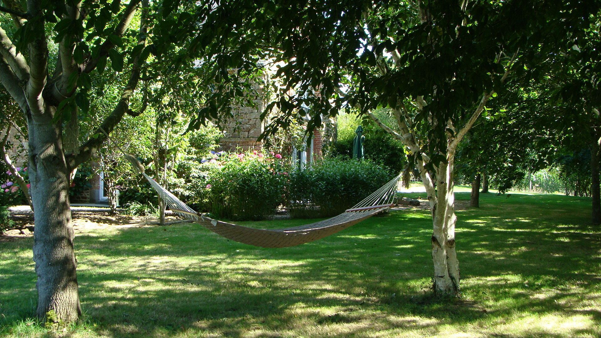Un hamac suspendu sous un arbre dans un parc, avec de l’herbe et des buissons.